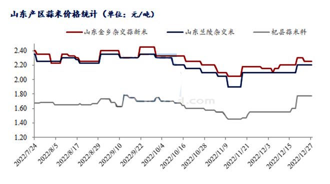 大蒜市场价格最新走势分析