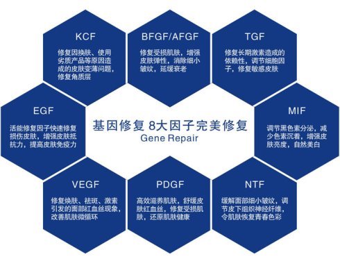 长效8因子最新信息与研究应用进展概览