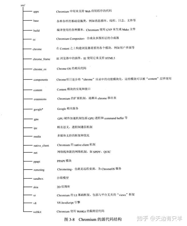 Cao最新地址深度探讨