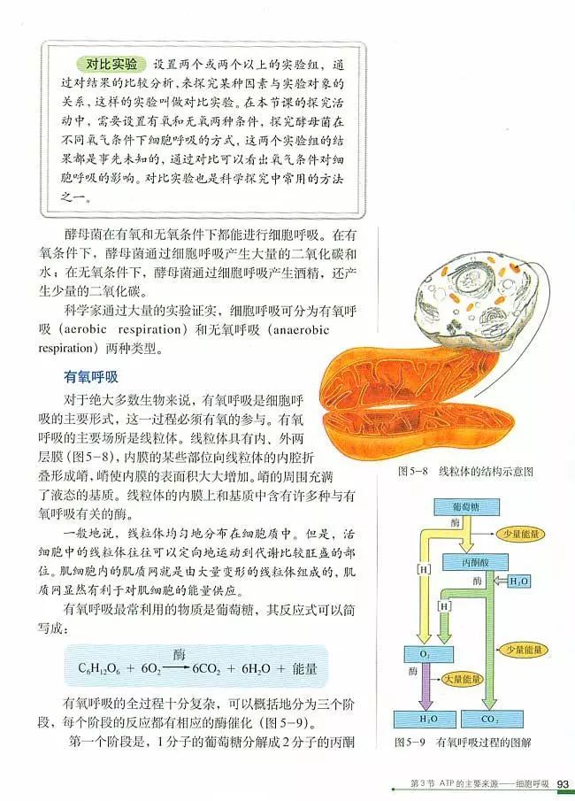 高中生物教材下载及学习方法和资源获取指南