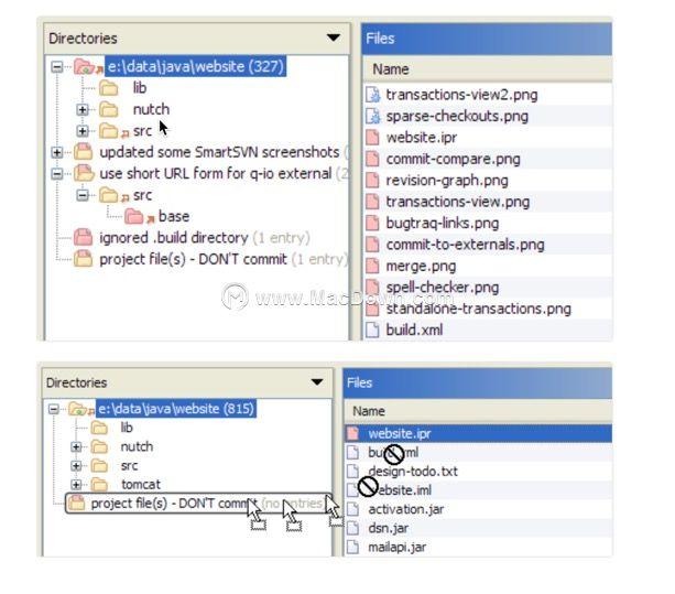 最新Subversion（SVN）功能及应用概览