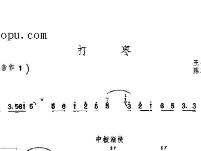 传统音乐的魅力与传承，唢呐打枣下载赏析